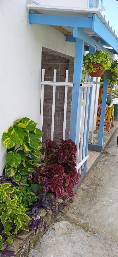 Posada Aleeny Providencia  エクステリア 写真